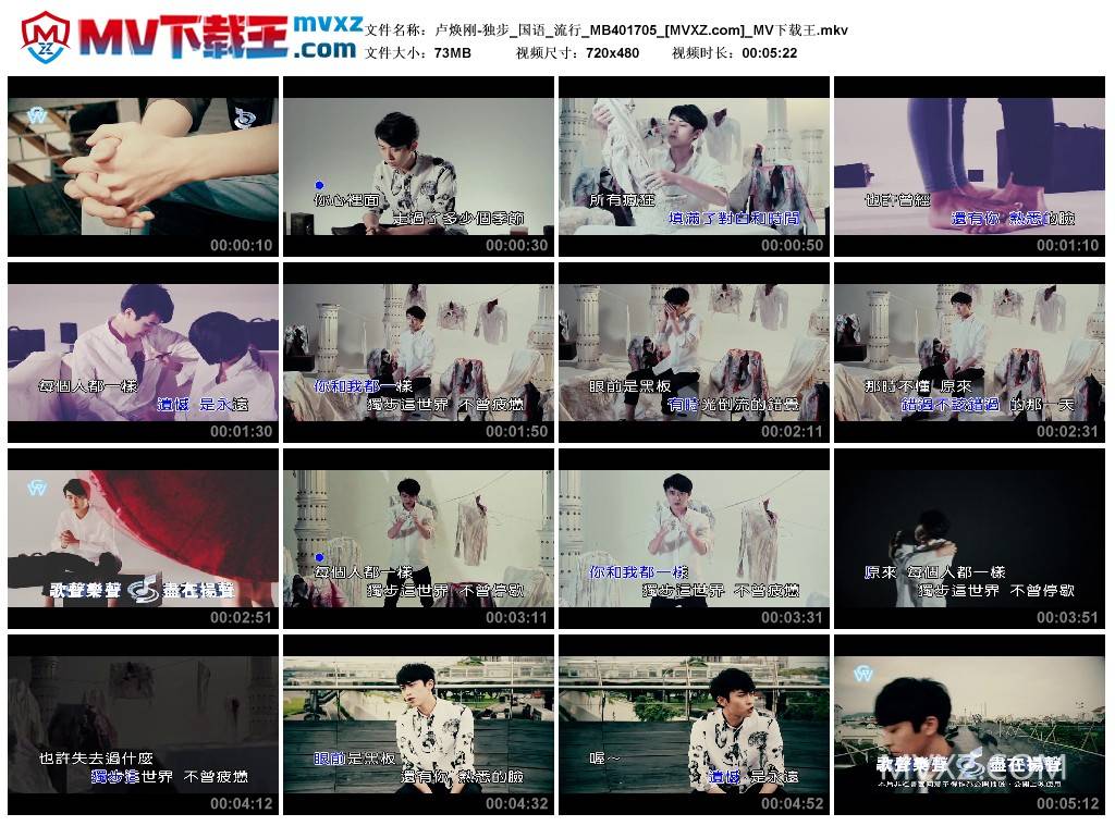 卢焕刚-独步_国语_流行_MB401705